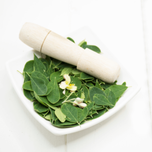 Le moringa frais et ses bien faits sur la santé