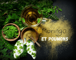 Moringa et Poumons: le guide par Somoringa