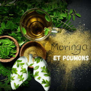 Le moringa et ses bienfaits pour les poumons: le guide complet pour tout savoir